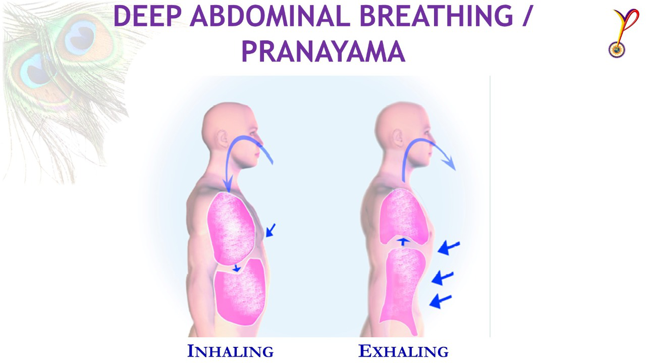 Deep Abdominal Pranayam - YPV Breathing Techniques - Yoga Prana Vidya