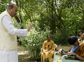 Yoga Energy Healing - Yoga Prana Vidya