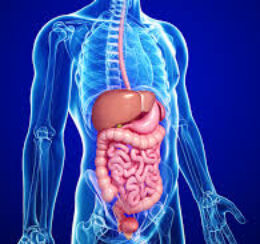 digestive-system125cases